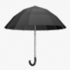 umbrella_lili